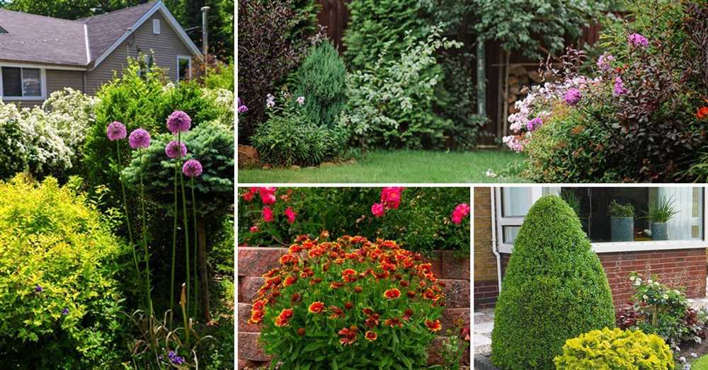 Как выбрать идеальные растения для вашего сада