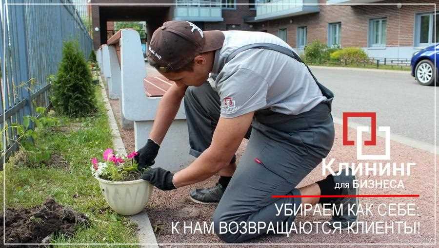 Озеленение придомовой территории: от планировки до выбора главных акцентов
