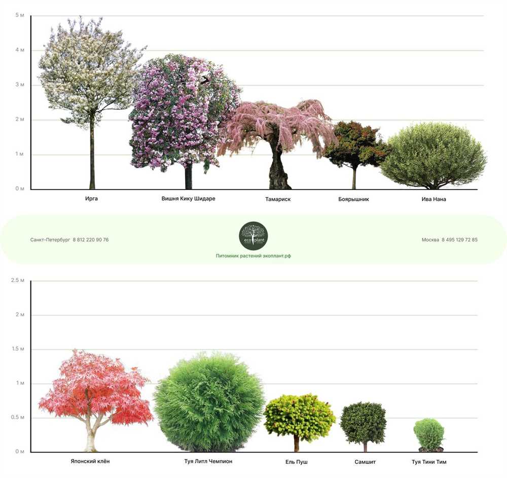 Разнообразие культурных растений: как выбрать наиболее подходящие для сада