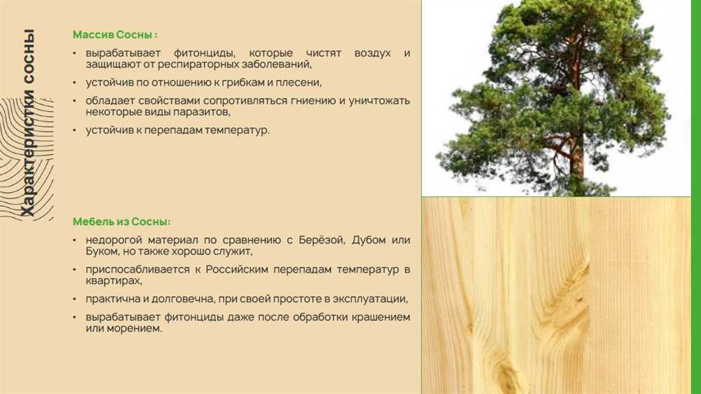 Виды и свойства древесины: выбираем материал для своих проектов