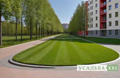 Зелёные офисы: преимущества экологичного пространства