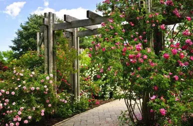 Как создать изысканн