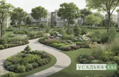 Декоративные кустарники для полутени