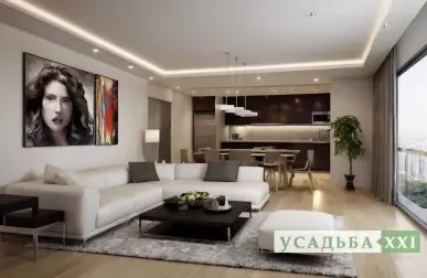 Кухни-студии в форматах premium