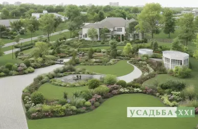 Быстрорастущие деревья для озеленения