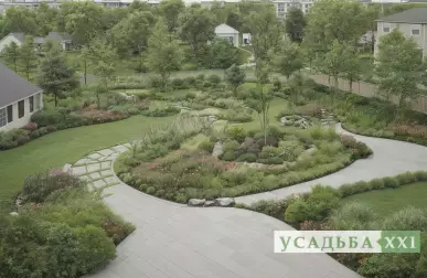 Кустарники для миксбордеров