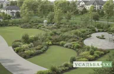 Лианы и высокие растения для вертикального эффекта