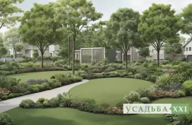 Папоротники у водоёма — природная рамка