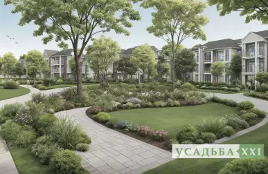 Выбор места для солнечных и теневых лиан