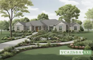 Хвойные растения в горшках