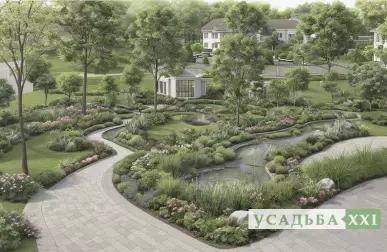 Лучшие растения для маленьких водоёмов