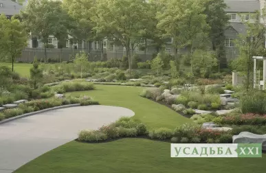 Средиземноморские мотивы в озеленении