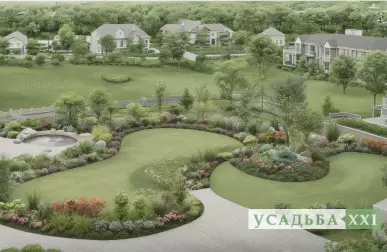 Деревья с красивой корой