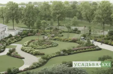 Гортензия метельчатая с пестрой листвой