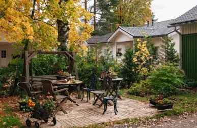 Какие деревья лучше